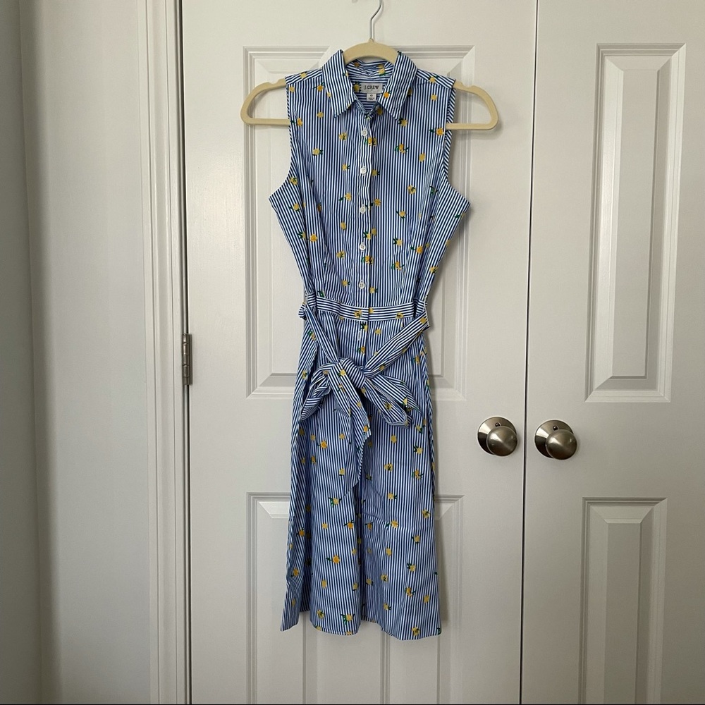 JCrew button up dress